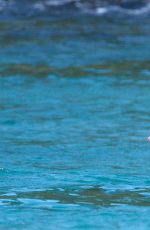 MEGAN WILLIAMS in Bikini at a Beach n Saint Barth 12/30/2016