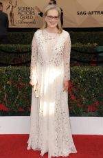 MERYL STREEP at 23rd Annual Screen Actors Guild Awards in Los Angeles 01/29/2017