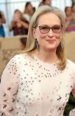 MERYL STREEP at 23rd Annual Screen Actors Guild Awards in Los Angeles 01/29/2017