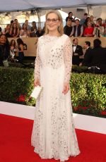 MERYL STREEP at 23rd Annual Screen Actors Guild Awards in Los Angeles 01/29/2017