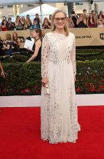 MERYL STREEP at 23rd Annual Screen Actors Guild Awards in Los Angeles 01/29/2017