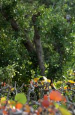 MICHELLE WIE at 2017 Pure Silk Bahamas LPGA Classic First Round at Ocean Club Golf Course in Paradise Island 01/26/2017
