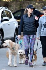 MINKA KELLY Walks Her Dog Out in Los Angeles 01/01/2017