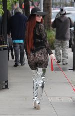 PHOEBE PRICE Walks Her Dog Out in Beverly Hills 01/09/2017