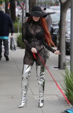 PHOEBE PRICE Walks Her Dog Out in Beverly Hills 01/09/2017