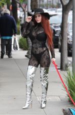 PHOEBE PRICE Walks Her Dog Out in Beverly Hills 01/09/2017
