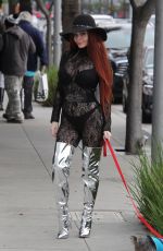 PHOEBE PRICE Walks Her Dog Out in Beverly Hills 01/09/2017