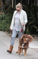 Pregnant AMANDA SEYFRIED Walks Her Dog Out in West Hollywood 01/13/2017