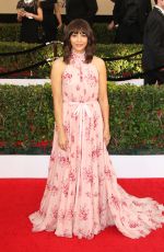 RASHIDA JONES at 23rd Annual Screen Actors Guild Awards in Los Angeles 01/29/2017