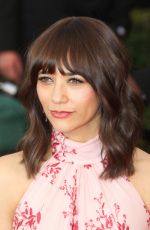 RASHIDA JONES at 23rd Annual Screen Actors Guild Awards in Los Angeles 01/29/2017
