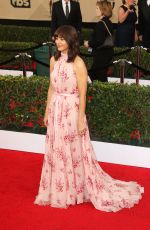 RASHIDA JONES at 23rd Annual Screen Actors Guild Awards in Los Angeles 01/29/2017