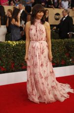 RASHIDA JONES at 23rd Annual Screen Actors Guild Awards in Los Angeles 01/29/2017