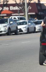 ROONEY MARA Out and About in Studio City 01/16/2017
