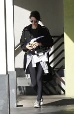 ROONEY MARA Out and About in West Hollywood 01/19/2017