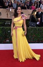 SALMA HAYEK at 23rd Annual Screen Actors Guild Awards in Los Angeles 01/29/2017