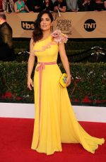 SALMA HAYEK at 23rd Annual Screen Actors Guild Awards in Los Angeles 01/29/2017