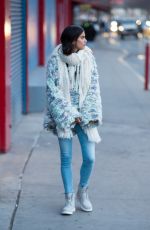 SARA SAMPAIO Out and About in New York 01/29/2017