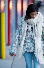 SARA SAMPAIO Out and About in New York 01/29/2017