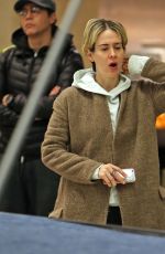 SARAH PAULSON at JFK Airport in New York 01/09/2017