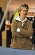 SARAH PAULSON at JFK Airport in New York 01/09/2017