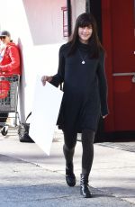 SELMA BLAIR Out and About in Studio City 01/01/2017