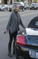 SHARON STONE Out and About in Beverly Hills 01/08/2017