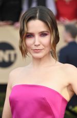 SOPHIA BUSH at 23rd Annual Screen Actors Guild Awards in Los Angeles 01/29/2017