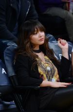 VANESSA and STELLA HUDGENS and ASHLEY TISDALE at Lakers vs Pistons Game in Los Angeles 01/15/2017