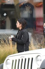 VANESSA and STELLA HUDGENS Heading to a Gym in Los Angeles 01/02/2017