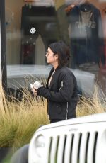 VANESSA and STELLA HUDGENS Heading to a Gym in Los Angeles 01/02/2017