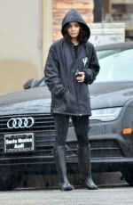 VANESSA HUDGENS Out and About in Studio City 01/12/2017