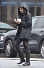 VANESSA HUDGENS Out and About in Studio City 01/12/2017