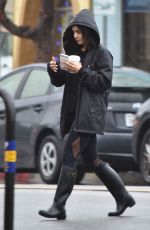 VANESSA HUDGENS Out and About in Studio City 01/12/2017