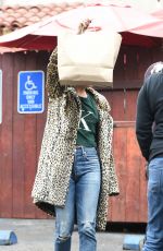 VANESSA HUDGENS Out in Los Angeles 01/04/2017