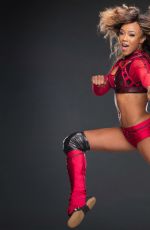 WWE - Anatomy of a Superstar