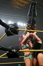 WWE - NXT Digitals 12/28/2016