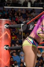 WWE - Raw Digitals 01/09/2017