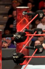 WWE - Raw Digitals 01/16/2017