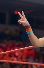 WWE - Raw Digitals 01/16/2017