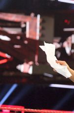 WWE - Raw Digitals 01/16/2017