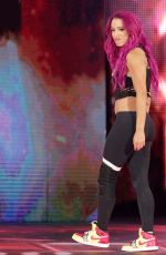 WWE - Raw Digitals 01/23/2017