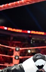 WWE - Raw Digitals 12/19/2016