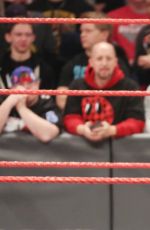 WWE - Raw Digitals 12/19/2016