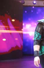 WWE - Raw Digitals 12/26/2016