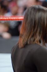 WWE - Raw Digitals 12/26/2016