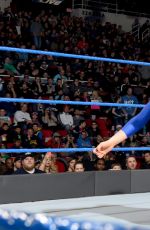 WWE - Smackdown Live! 12/20/2016
