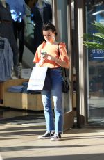 ALESSANDRA TORRESANI Out in West Hollywood 02/04/2017