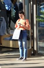 ALESSANDRA TORRESANI Out in West Hollywood 02/04/2017