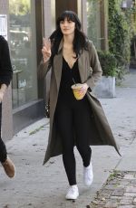 ALI LOHAN Out and About in Los Angeles 02/22/2017