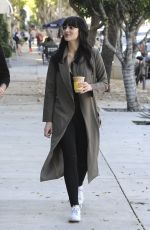 ALI LOHAN Out and About in Los Angeles 02/22/2017